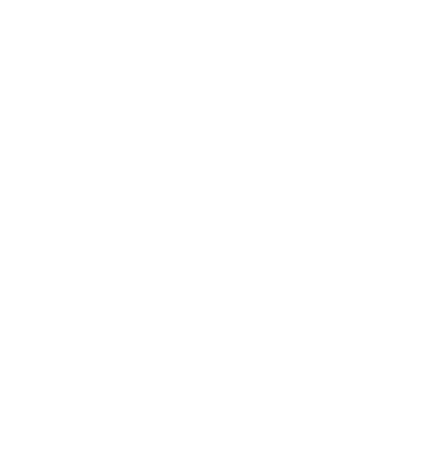株式会社KAGARIBI 社章